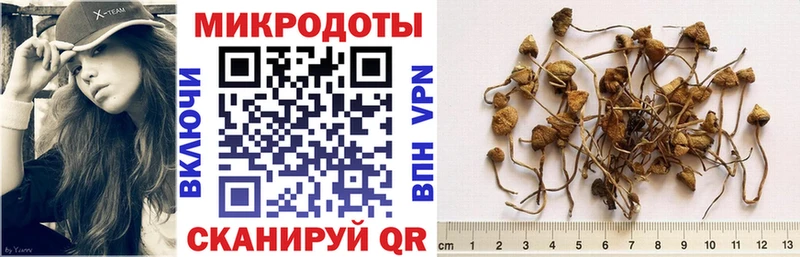 omg tor  Белёв  Псилоцибиновые грибы Magic Shrooms 